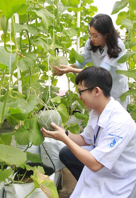 Sinh viên được tạo điều kiện tốt để học đi đôi với hành.