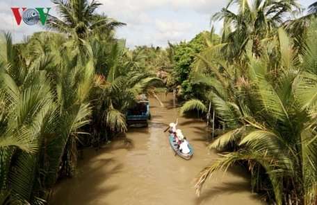 Đi xuồng ba lá trên kênh rạch là nét độc đáo tại xứ dừa Bến Tre.