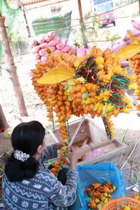 “Do không có thời gian bán trái riêng lẽ từng trái nên chọn làm heo vàng”.