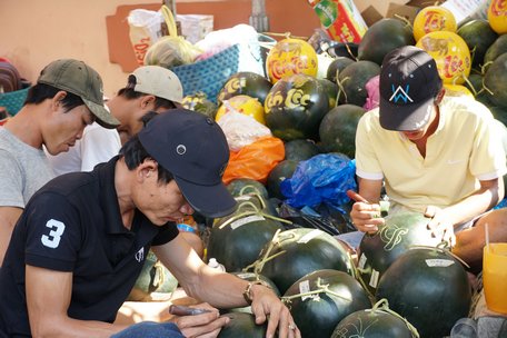 ...ngoài chữ tài, lộc, năm nay kỷ hợi nên nhiều người chọn vẽ hình heo vàng.