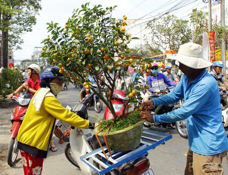 Kiểng tắc giờ chót giảm 30- 40% so với những ngày đầu.