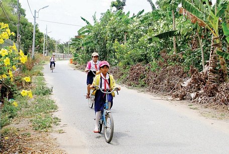 Đường giao thông nông thôn Long Hồ được thắp sáng về đêm, giúp cho người dân đi lại thuận tiện hơn. Ảnh: DƯƠNG THU