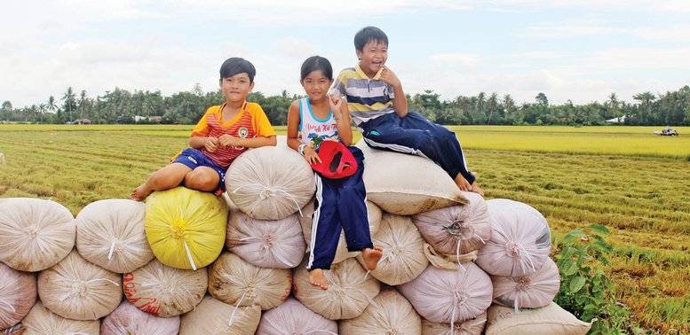 Trẻ em tươi cười, đùa vui sau mùa thu hoạch.