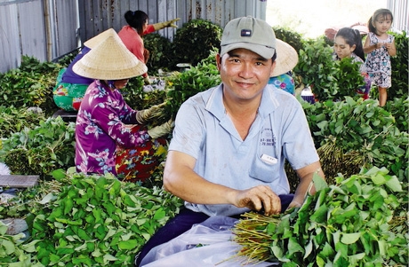 Ngồi trong mát bó rau cũng giúp người dân có thu nhập khá.