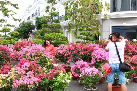 Các điểm vui chơi thu hút nhiều người đến tham quan, chụp ảnh lưu niệm.Ảnh: Thanh Tâm