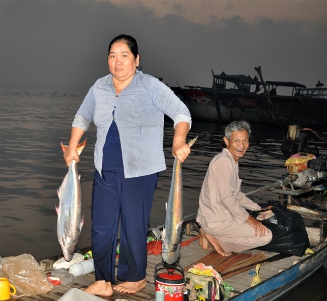 Đánh bắt cá bông lau bán cho thương lái