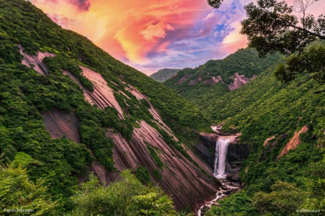 2. Đảo Yakushima: Để trải nghiệm vẻ đẹp thiên nhiên thực sự của Nhật Bản, du khách nên dành thời gian khám phá hòn đảo Yakushima.    Đảo Yakushima không chỉ là thiên đường của động vật như khỉ và hươu mà còn là một trong những thắng cảnh đẹp nhất ở Nhật Bản. Hòn đảo đã được UNESCO công nhận là di sản thế giới.