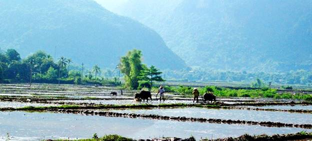 Bà con nông dân xã Mai Hịch cày bừa ruộng chuẩn bị cấy vụ xuân.