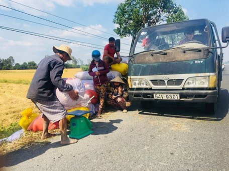 Nông dân Hậu Giang bán lúa cho doanh nghiệp 