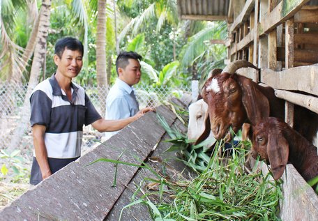 Xã Bình Ninh đang xây dựng nhiều mô hình liên kết gắn với tiêu thụ nông sản.