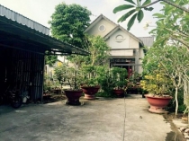 Cần bán gấp đi nước ngoài