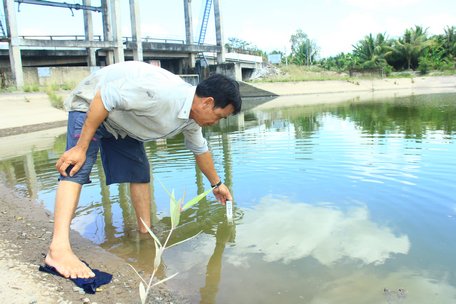 Theo dõi diễn biến nguồn nước bằng việc thường xuyên đo độ mặn.