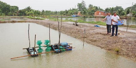 Ông Huỳnh Văn Sơn (người đội nón) bên ao cá.