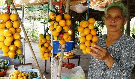 Mất mùa thanh trà nên lượng trái bán ra cũng giảm đi rất nhiều.