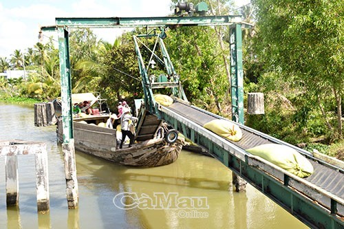 Vận chuyển lúa bằng băng chuyền, bến Rạch Cui trở thành điểm tập kết của hàng trăm thương lái ở khắp nơi Nam Bộ tụ hội vào mùa thu hoạch.