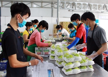 Nhiều mặt hàng trái cây của Việt Nam có tiềm năng xuất khẩu cao.