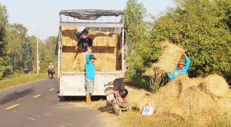 Thông qua chính sách hỗ trợ của tỉnh, huyện, các mô hình phát triển sản xuất tại địa phương đang được chú ý nhân rộng.