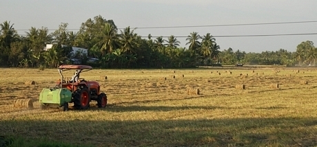 Với sự tiện lợi của máy móc, người dân nên tận dụng rơm trên đồng.