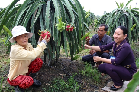 BCĐ xây dựng NTM xã đang tiếp tục cơ cấu lại ngành nông nghiệp, tuyên truyền vận động nhân dân nhân rộng các mô hình làm ăn có hiệu quả.