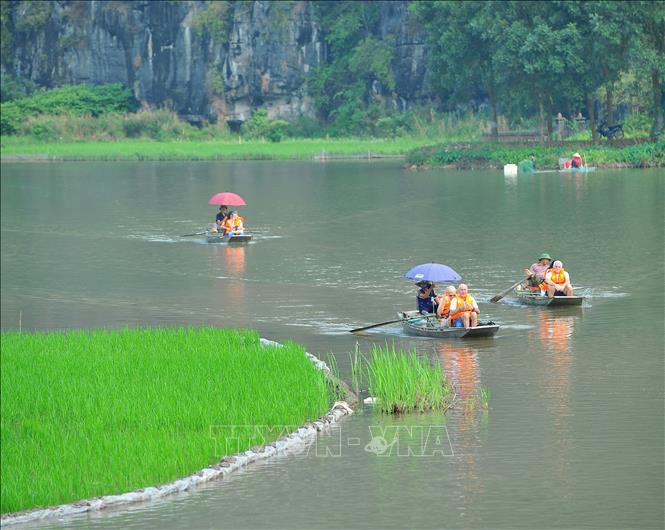 Du khách nước ngoài trải nghiệm bằng thuyền tại khu du lịch Tam Cốc.