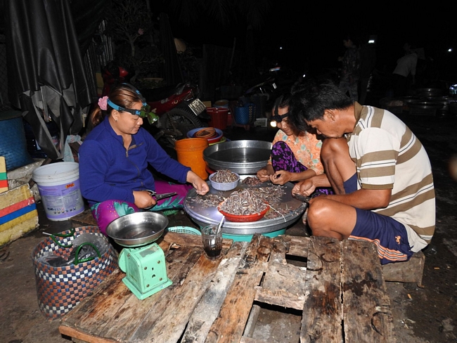 Trên bờ, khoảng 3 giờ thì chợ bắt đầu nhộn nhịp cảnh mua bán. Lúc này, chợ chủ yếu bán các loại cá từ cá nuôi, cá biển, nhưng chủ yếu là cá đồng.