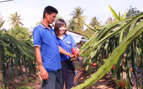 Thanh niên nông thôn chí thú làm ăn với nhiều mô hình kinh tế hiệu quả.