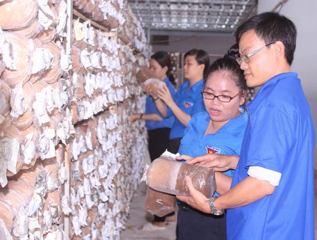 Đoàn viên thanh niên tích cực lao động, sáng tạo. Trong ảnh: Đoàn viên thanh niên Khối Các cơ quan nghiên cứu chuyển giao khoa học kỹ thuật mô hình sản xuất an toàn.