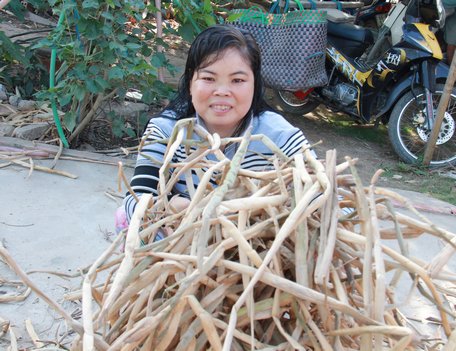 Chị Nhi bên mớ dây lục bình là nguồn thu nhập chính của gia đình trong mấy năm nay.