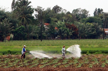  Việc áp dụng CGH trong sản xuất nông nghiệp còn thấp.