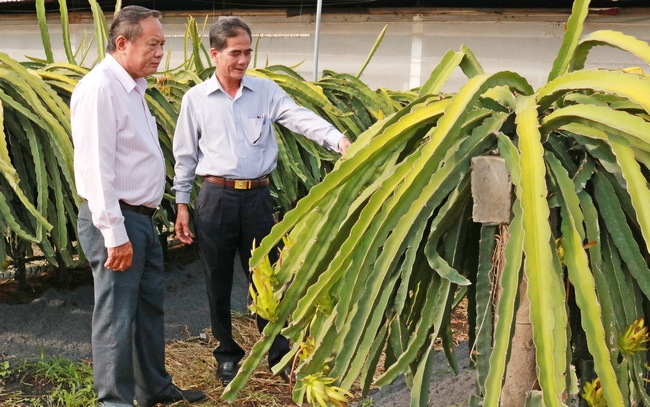 Thời gian gần đây, người dân nông thôn đã biết cách “biến” rơm rạ thành tiền thay vì đốt bỏ. Đó là tận dụng rơm để làm nấm, thức ăn cho bò, bón phân cho cây... góp phần hạn chế ô nhiễm môi trường và nâng cao giá trị cây lúa sau thu hoạch.