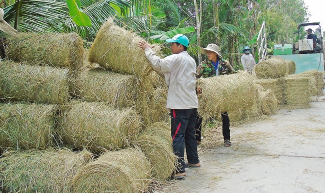 Thời gian qua, đời sống của người dân ở nông thôn đã không ngừng cải thiện với thu nhập năm sau cao hơn năm trước. Trong ảnh: Phó Chủ tịch Thường trực UBND tỉnh- Lê Quang Trung và Trưởng Ban Tuyên giáo Tỉnh ủy- Nguyễn Bách Khoa đến tham quan vườn thanh long tại xã NTM An Phước (Mang Thít).