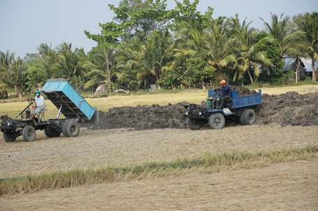 Đất mặt được san lấp nền nhà, lấp ao, lên vườn, trồng cây,...