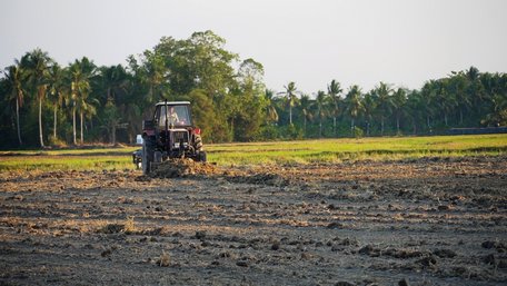 Đất gò là lớp đất quý giá, nếu cải tạo đúng cách thì mới giữ được lớp đất màu mỡ này.