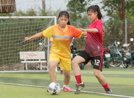 Sân bóng đá cỏ nhân tạo Trường ĐH Xây dựng miền Tây được xem là mặt sân tốt nhất ở Vĩnh Long hiện nay.