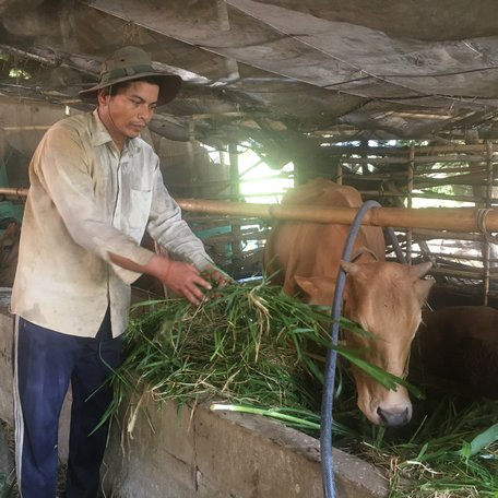 Các chính sách hỗ trợ vốn vay ưu đãi góp phần thoát nghèo bền vững cho những hộ dân.