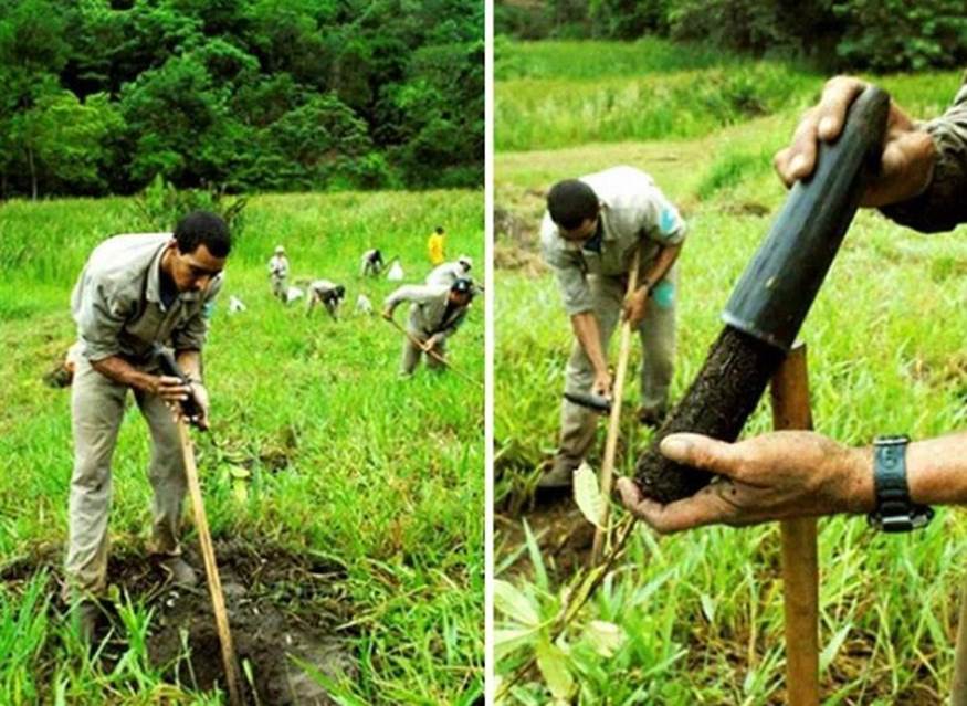 Ông Salgado chia sẻ với The Guardian vào năm 2015 rằng: “Chỉ có 0,5% vùng đất là có cây xanh. Vợ tôi khi đó nảy ra ý tưởng tuyệt vời là trồng lại khu rừng. Khi chúng tôi bắt đầu việc đó, muôn loài chim, cá, côn trùng đã quay lại. Nhờ khu rừng được hồi phục, bản thân tôi cũng cảm thấy như được tái sinh, đó là điều quan trọng nhất”.