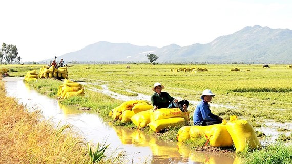 Quy tụ nông dân vào HTX nông nghiệp là vấn đề cấp thiết hiện nay