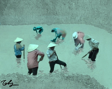 Nhân công đào tìm “kho báu” theo suy diễn của ông P. Tranh minh họa: Trần Thắng (TP Vĩnh Long)