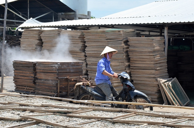 Sau đó, cá cơm được đưa đi phơi. Nếu nắng tốt, chỉ khoảng 2 giờ là cá khô và được đưa vào khu phân loại.