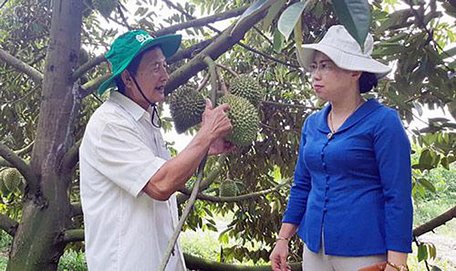  Phó Chủ tịch BCH T.Ư Hội NDVN Bùi Thị Thơm thăm mô hình nông nghiệp thích ứng với biến đổi khí hậu ở tỉnh Hậu Giang. ảnh: Huỳnh Xây