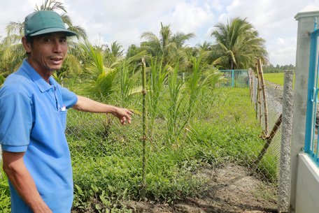 Ông Điền cho biết đây là lối đi duy nhất và thuận tiện để vào phần đất canh tác phía trong.