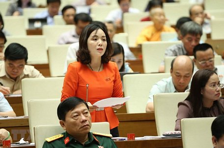 Bà Triệu Thị Thu Phương (đoàn đại biểu Quốc hội tỉnh Bắc Kạn) cho rằng, công tác bảo vệ trẻ em ở nhiều nơi chưa được quan tâm đúng mức. (Ảnh: TTXVN)
