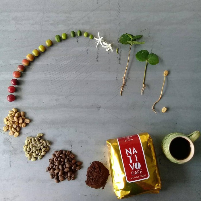 Một chiếc hạt trải qua hành trình dài để đến được tách cà phê của bạn.