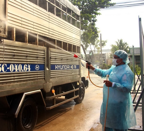 Tiêu độc khử trùng là một trong những biện pháp quan trọng giúp ngăn dịch tả heo Châu Phi lây lan rộng.