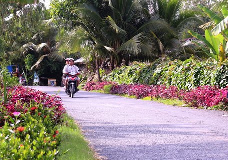 Tuyến đường hoa do Hội CCB chăm sóc tạo vẻ mỹ quan cho địa phương.