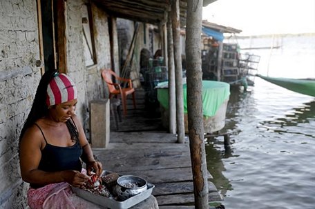 Tuy nhiên, đây là cuộc sống và cách mưu sinh duy nhất nên họ không thể bỏ nghề.