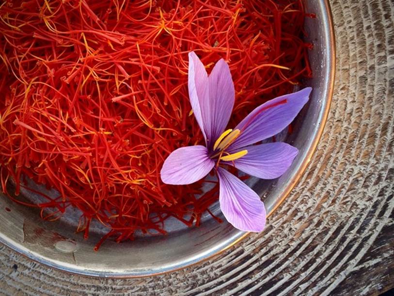  Iran là nước sản xuất nhiều saffron nhất thế giới. Đây được ví là 