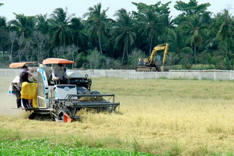 Nông nghiệp cần có giải pháp thiết thực hơn để đẩy nhanh tốc độ chuyển dịch cơ cấu ngành.