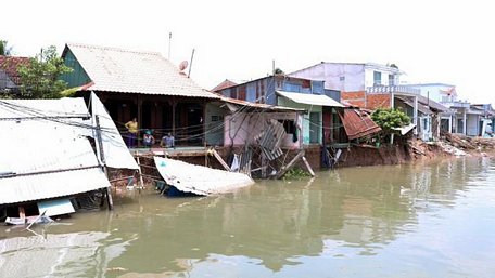  Nhiều hộ dân ở Thới Lợi (quận Ô Môn) rơi vào cảnh có nhà nhưng chẳng dám về ở sau sạt lở kinh hoàng. Ảnh: SONG ANH