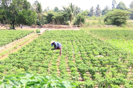 Hợp lý về diện tích, dân số mỗi ấp tạo thuận lợi cho công tác quản lý của địa phương.